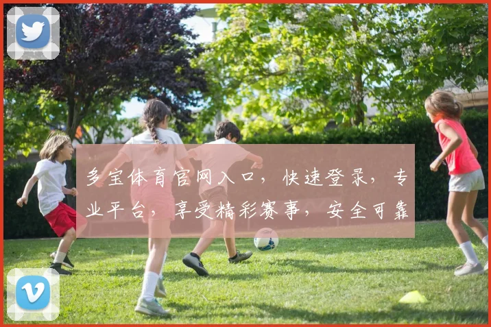 多宝体育官网入口，快速登录，专业平台，享受精彩赛事，安全可靠，三重保障，必看攻略